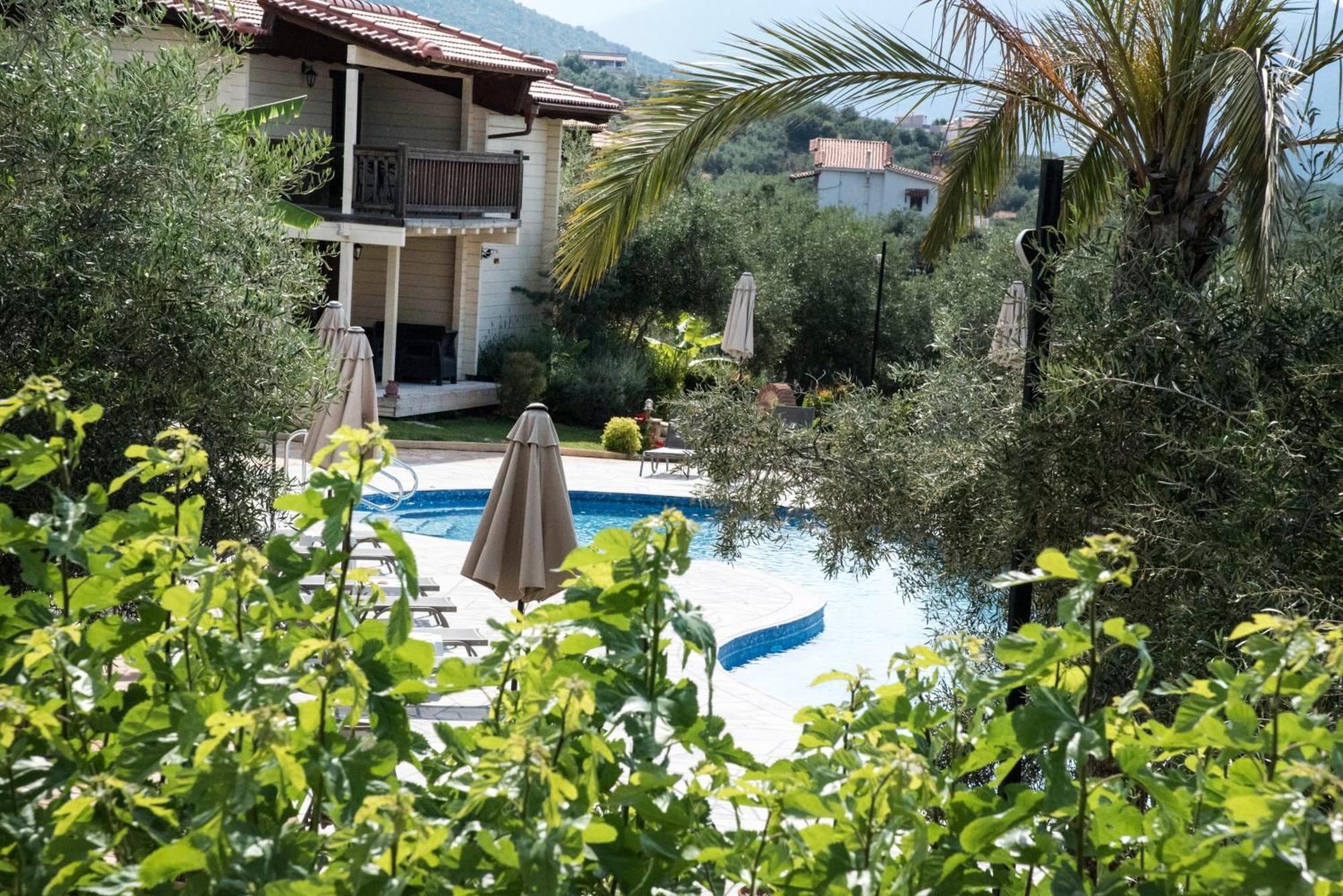 Anthidon Nature Estate & Farm Chalkida Quarto foto