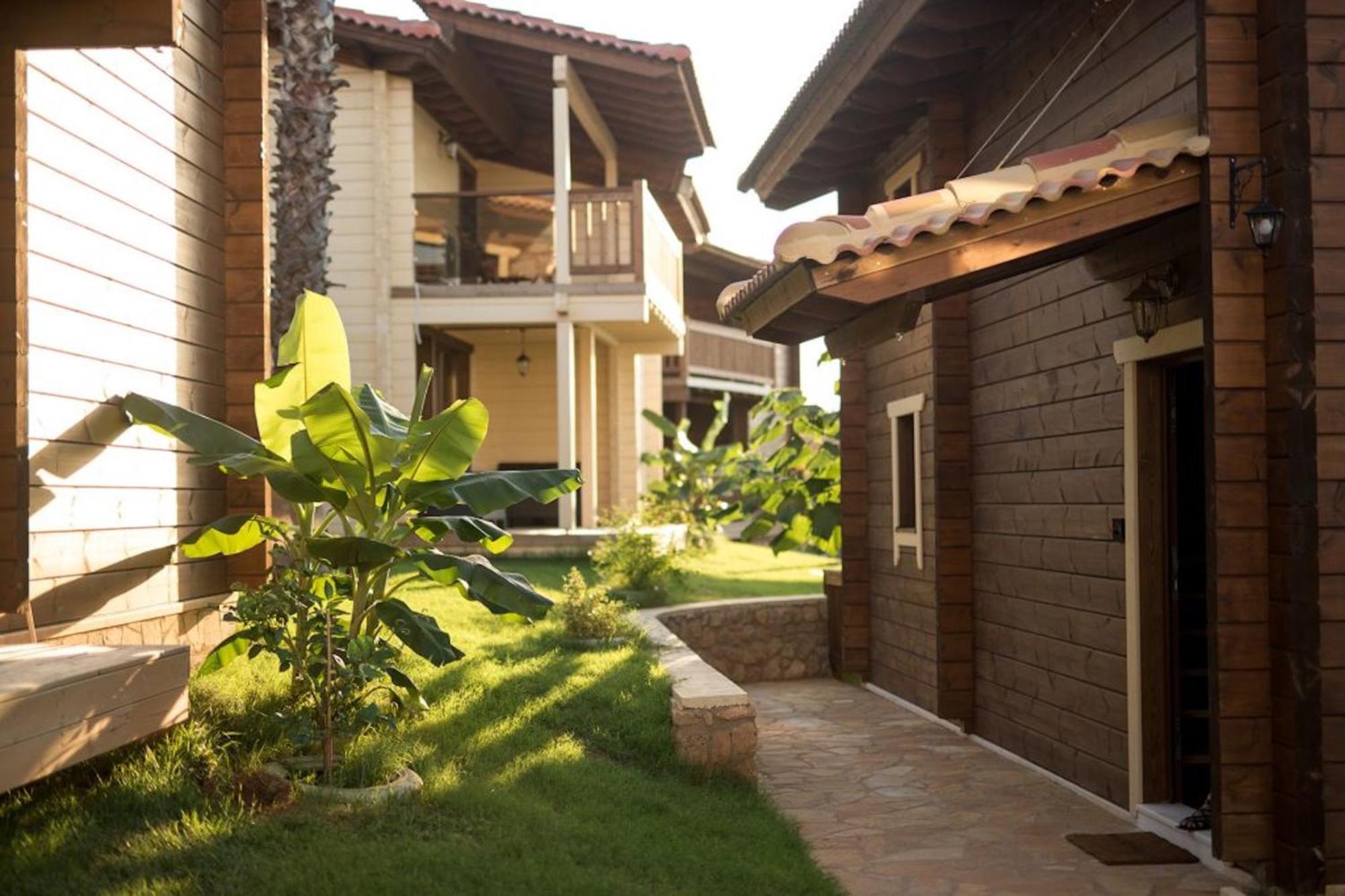 Anthidon Nature Estate & Farm Chalkida Quarto foto